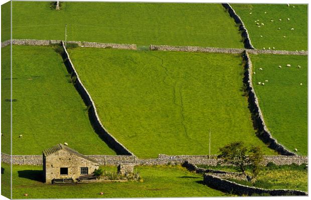 Barn in the Dales Canvas Print by Chris Walker