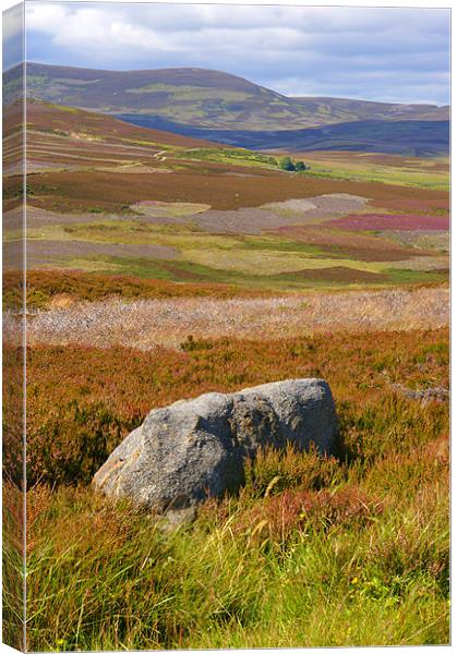 Scottish Moorland Canvas Print by Chris Walker