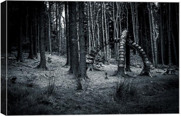  Strange thing in the Woods Canvas Print by Chris Walker