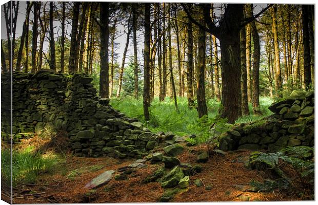  Fairytale Forest Canvas Print by Chris Walker