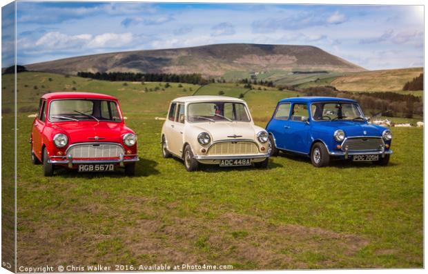 Classic Minis with Pendle Hill Canvas Print by Chris Walker