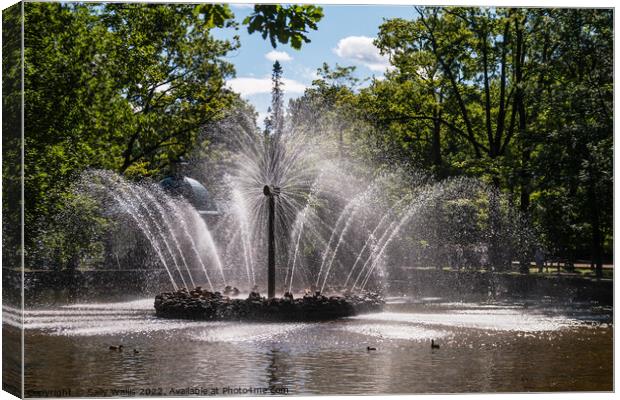 Fountain in Peterhof, St Petersburg Canvas Print by Sally Wallis