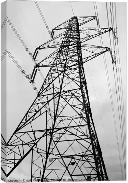 Perspective of pylon  Canvas Print by Sally Wallis