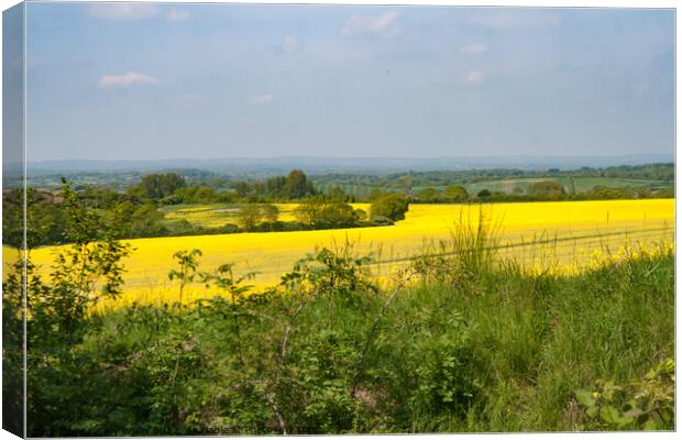 Looking across fields of Bright Yellow crops Canvas Print by Sally Wallis