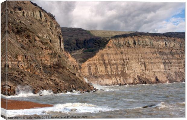 Recent rock fall east of Hastings, East Sussex Canvas Print by Sally Wallis