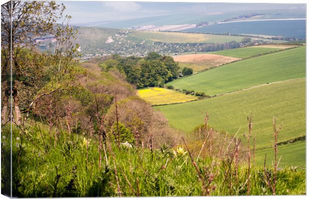 View from Downs in Friston Forest East Sussex Canvas Print by Sally Wallis