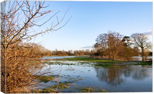 Floods at Hellingly, East Sussex Canvas Print by Sally Wallis