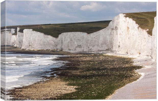 Cliffs at Birling Gap, East Sussex Canvas Print by Sally Wallis