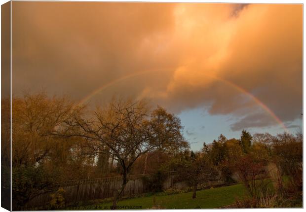 Full rainbow over garden Canvas Print by Sally Wallis