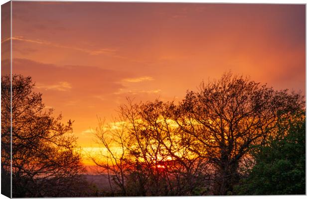 Westering Sunset Canvas Print by Sally Wallis