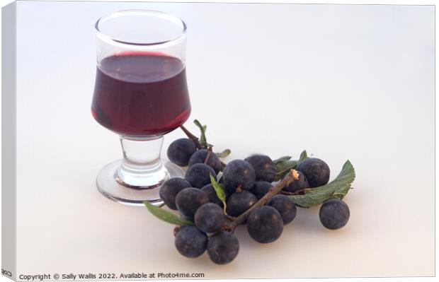 A glass of mature sloe gin  Canvas Print by Sally Wallis