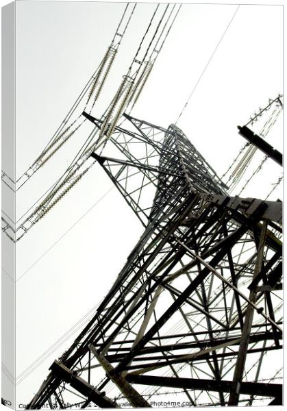 Pylon perspective Canvas Print by Sally Wallis