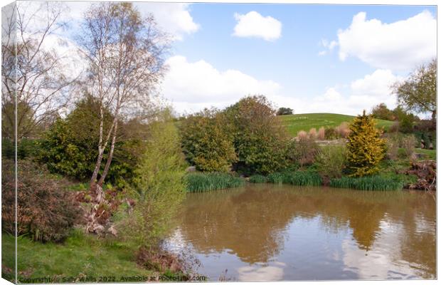 Head of a lake in Kent Canvas Print by Sally Wallis