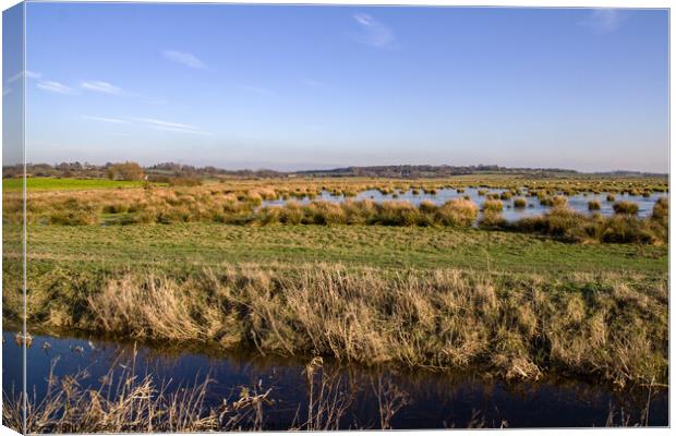 Flooded marshland in East Sussex Canvas Print by Sally Wallis
