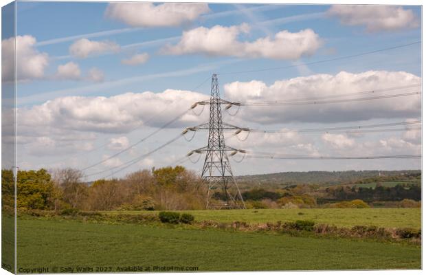 Pylon in Sussex countryside Canvas Print by Sally Wallis