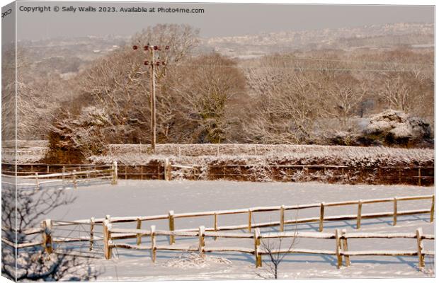 snowy landscape with paddocks Canvas Print by Sally Wallis