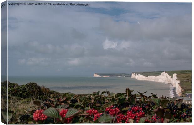 Seven Sisters, Sussex through a curtain of viburnum Canvas Print by Sally Wallis