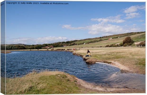 River Cuckmere at Exceat Canvas Print by Sally Wallis