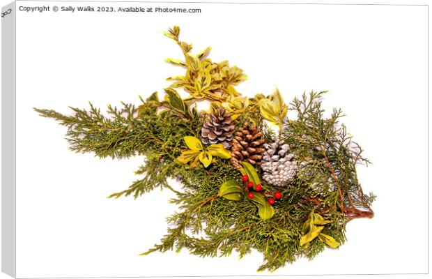Decoration with berries and pine-cones Canvas Print by Sally Wallis