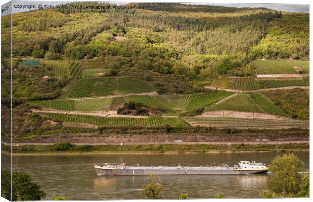 Vineyards along the Rhine Canvas Print by Sally Wallis