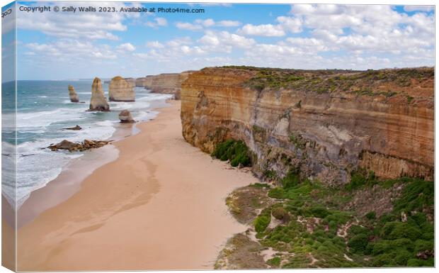 Apostles close to the tide-line Canvas Print by Sally Wallis