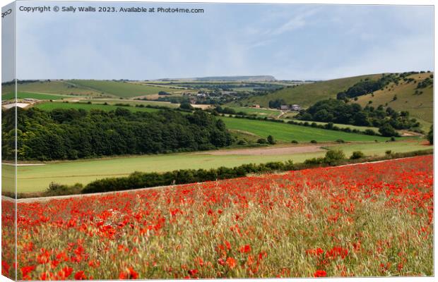 South Downs view Canvas Print by Sally Wallis