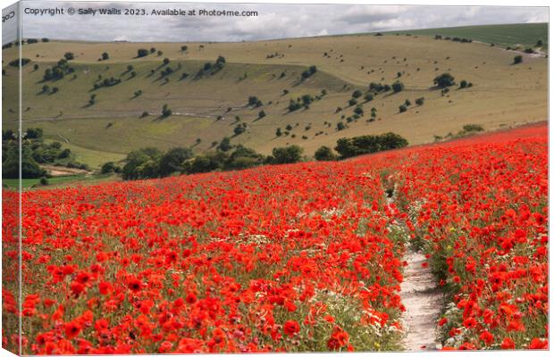 South Downs with Poppies Canvas Print by Sally Wallis