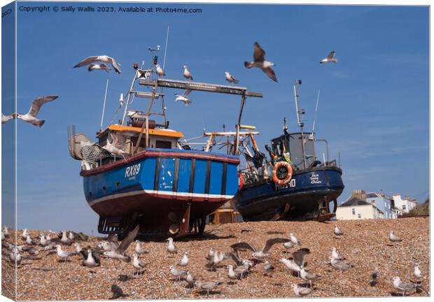 Hastings fishing boats Canvas Print by Sally Wallis