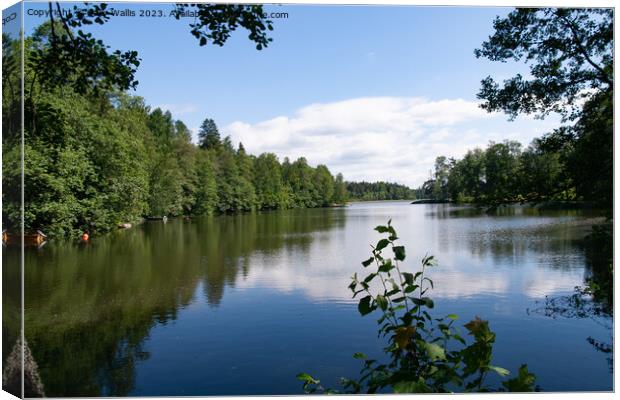 Finland Lake Canvas Print by Sally Wallis