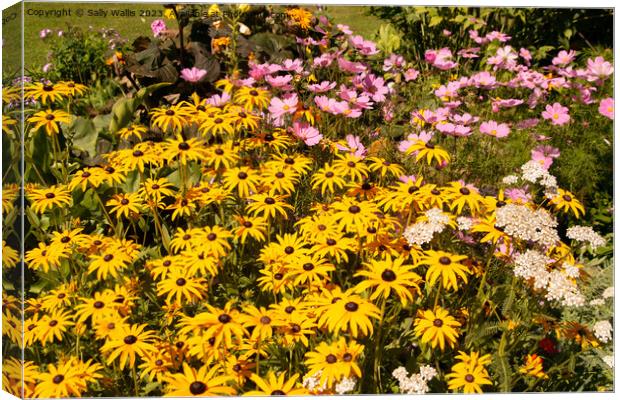 Bright Garden Border Canvas Print by Sally Wallis