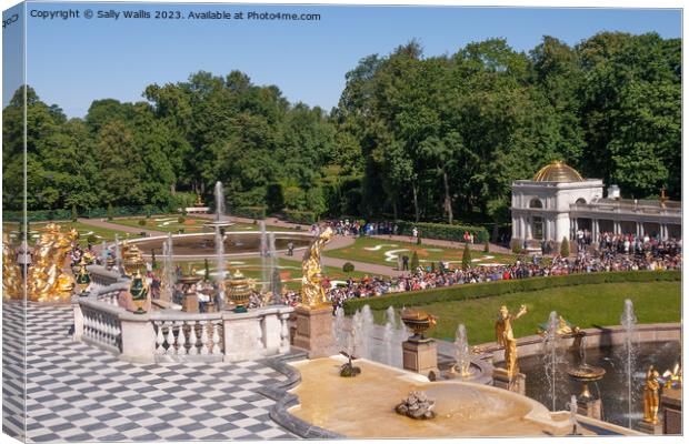 Peterhof grounds and fountains Canvas Print by Sally Wallis