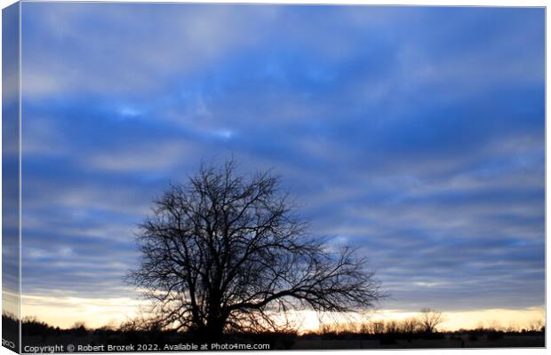 Tree with clouds at sunset  Canvas Print by Robert Brozek
