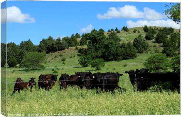 Outdoor grass with cows and trees with sky Canvas Print by Robert Brozek