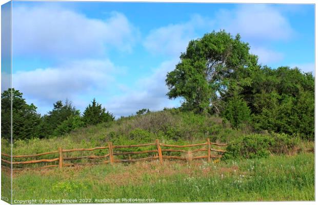 Green grass with blue sky and wooden fence Canvas Print by Robert Brozek