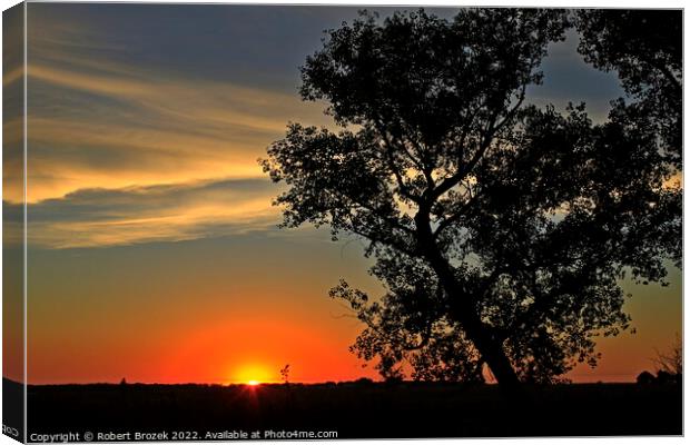 Sky with Sunset and tree Canvas Print by Robert Brozek