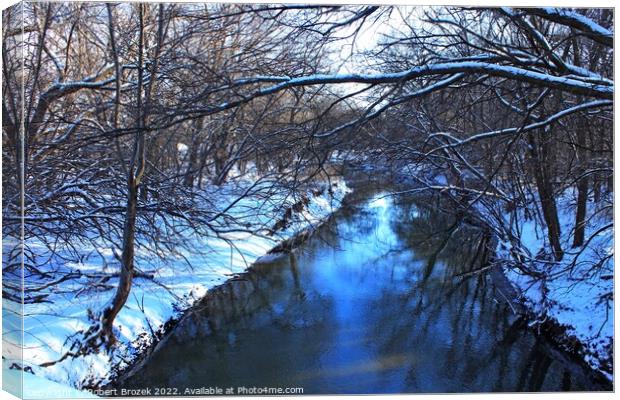 Snowy creek with water and trees Canvas Print by Robert Brozek
