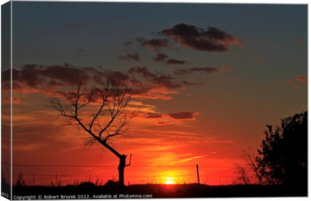 Sky and tree silhouette at sunset Canvas Print by Robert Brozek