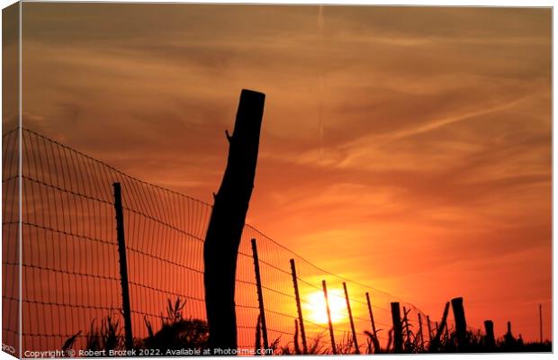 Outdoor sunset with Sun and fence silhouette Canvas Print by Robert Brozek