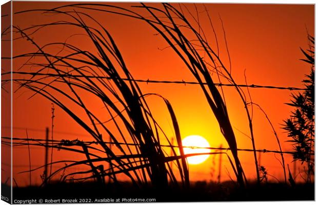 Kansas Sunset with a fence and grass silhouettes  Canvas Print by Robert Brozek