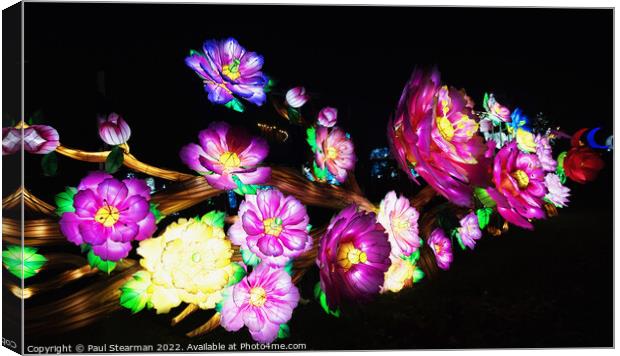Colourful Abstract Flowers taken at Night Canvas Print by Paul Stearman