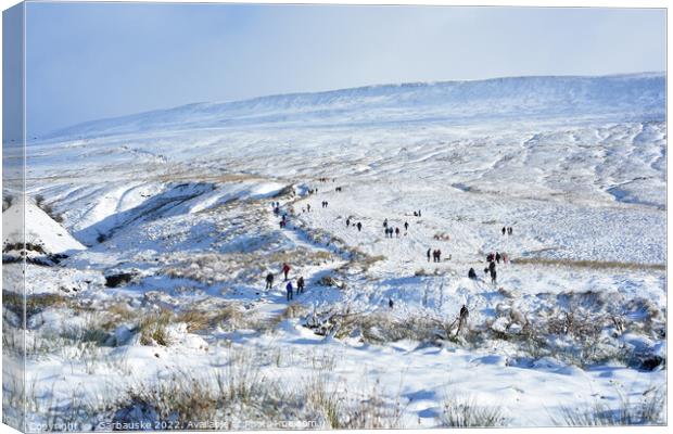 Walking up Pen Y Fan in the snow, Brecon Beacons Canvas Print by  Garbauske
