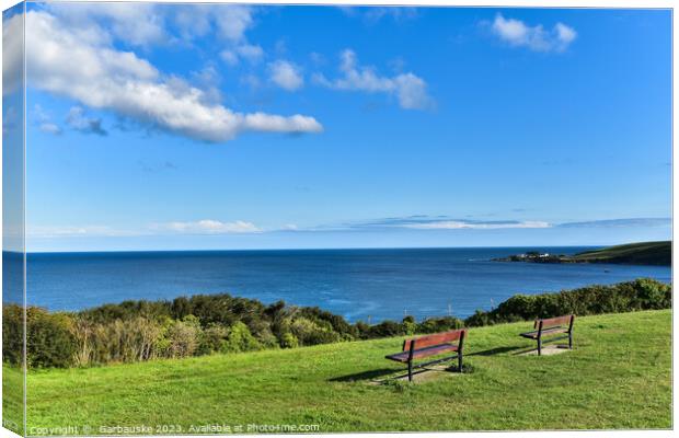 A view on the sea, Mevagissey coast path, Cornwall Canvas Print by  Garbauske