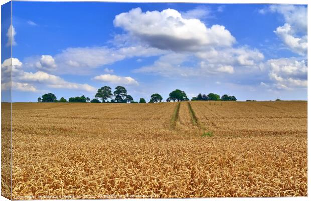 Summer view on agricultural crop and wheat fields ready for harv Canvas Print by Michael Piepgras