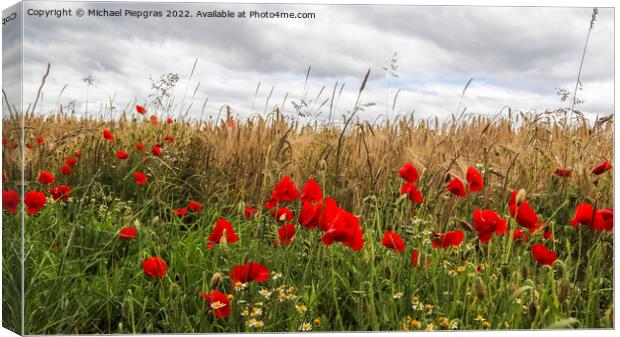 Beautiful red poppy flowers papaver rhoeas in a golden wheat fie Canvas Print by Michael Piepgras