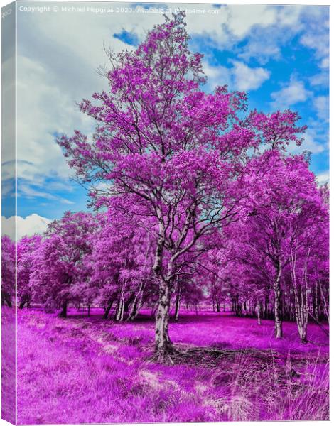 Colorful fantasy landscape in an asian purple infrared photo sty Canvas Print by Michael Piepgras