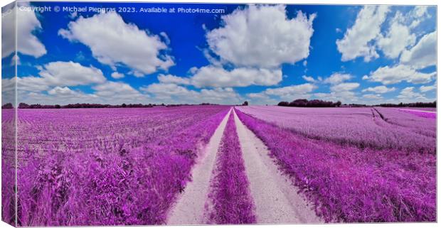 Colorful fantasy landscape in an asian purple infrared photo sty Canvas Print by Michael Piepgras