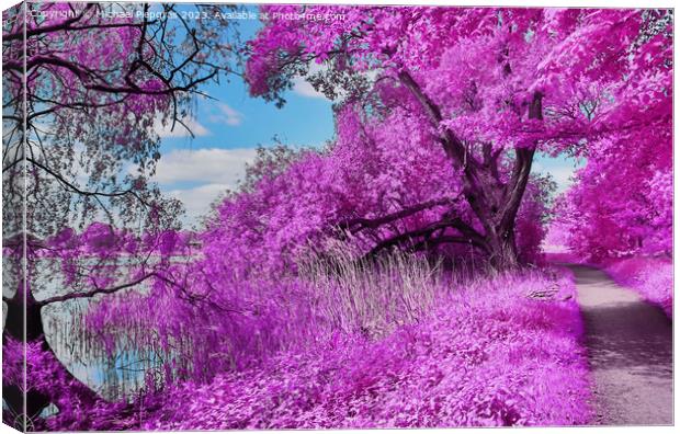 Colorful fantasy landscape in an asian purple infrared photo sty Canvas Print by Michael Piepgras