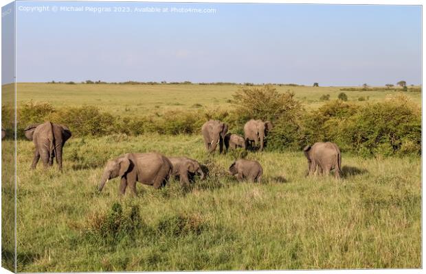 Wild elephants in the bushveld of Africa on a sunny day. Canvas Print by Michael Piepgras