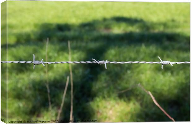 Barbed wire on with a soft focus bokeh in the background. Canvas Print by Michael Piepgras