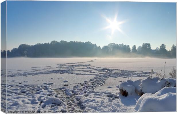 Beautiful winter shot at a lake and forest with snow and ice. Canvas Print by Michael Piepgras